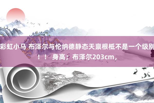 彩虹小马 布泽尔与伦纳德静态天禀根柢不是一个级别！！ 身高；布泽尔203cm，