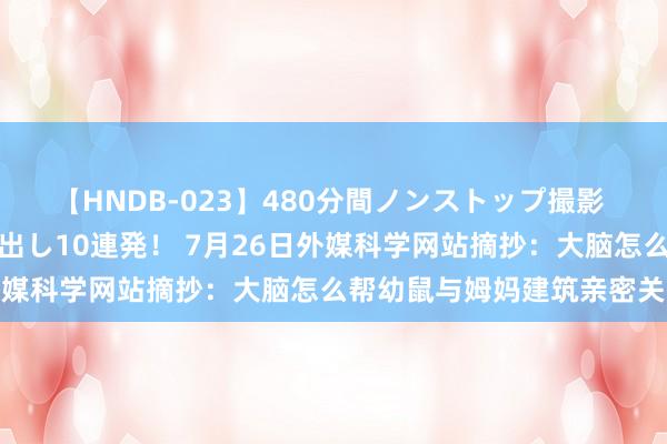 【HNDB-023】480分間ノンストップ撮影 ノーカット編集で本物中出し10連発！ 7月26日外媒科学网站摘抄：大脑怎么帮幼鼠与姆妈建筑亲密关系