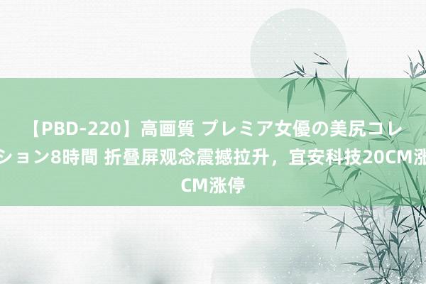 【PBD-220】高画質 プレミア女優の美尻コレクション8時間 折叠屏观念震撼拉升，宜安科技20CM涨停