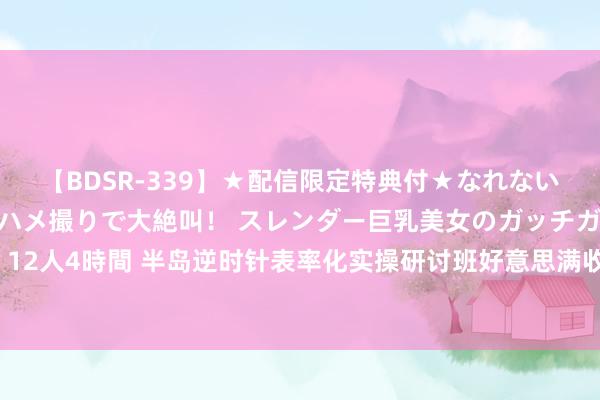 【BDSR-339】★配信限定特典付★なれない感じの新人ちゃんが初ハメ撮りで大絶叫！ スレンダー巨乳美女のガッチガチ生本番。12人4時間 半岛逆时针表率化实操研讨班好意思满收官，寰球1528名三星医师考核通过