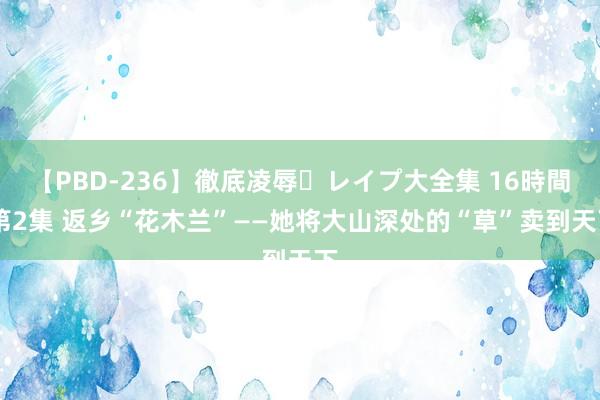 【PBD-236】徹底凌辱・レイプ大全集 16時間 第2集 返乡“花木兰”——她将大山深处的“草”卖到天下