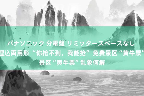 パナソニック 分電盤 リミッタースペースなし 露出・半埋込両用形 “你抢不到，我能抢” 免费景区“黄牛票”乱象何解