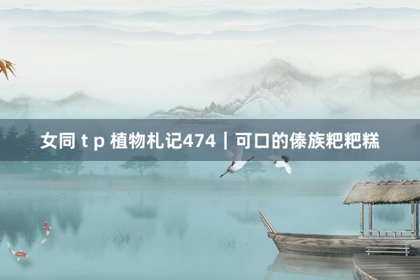 女同 t p 植物札记474|可口的傣族粑粑糕