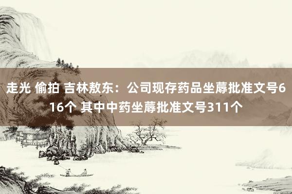 走光 偷拍 吉林敖东:公司现存药品坐蓐批准文号616个 其中中药坐蓐批准文号311个