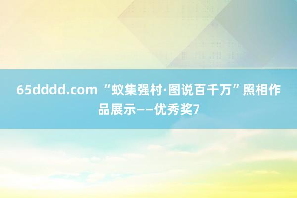 65dddd.com “蚁集强村·图说百千万”照相作品展示——优秀奖7