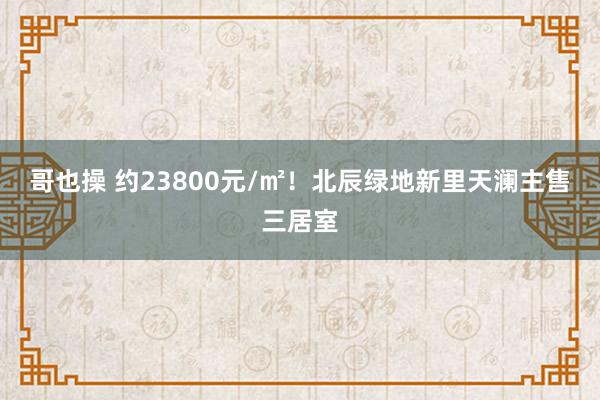 哥也操 约23800元/㎡！北辰绿地新里天澜主售三居室