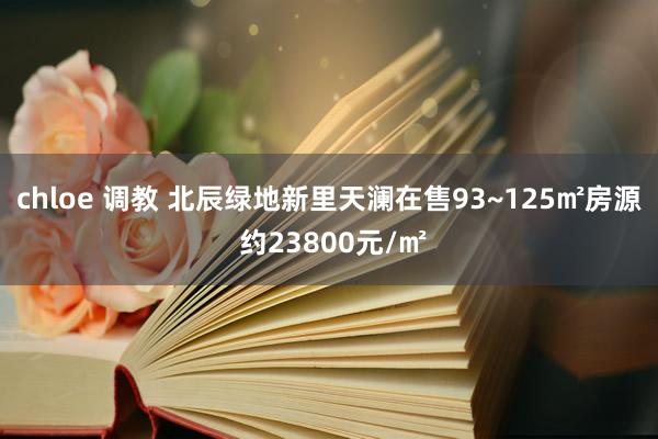 chloe 调教 北辰绿地新里天澜在售93~125㎡房源 约23800元/㎡