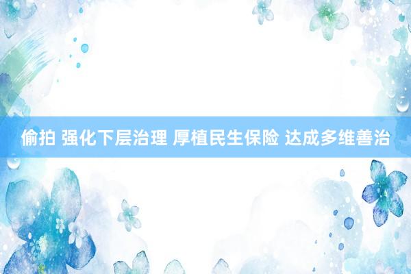 偷拍 强化下层治理 厚植民生保险 达成多维善治