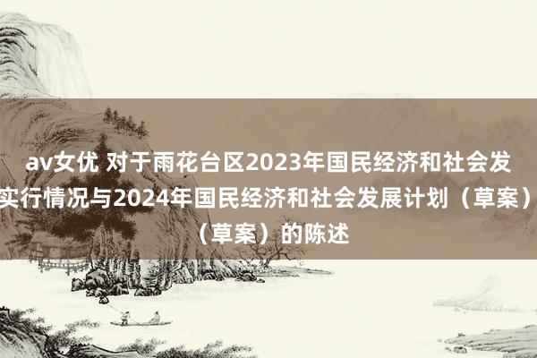 av女优 对于雨花台区2023年国民经济和社会发展计划实行情况与2024年国民经济和社会发展计划（草案）的陈述