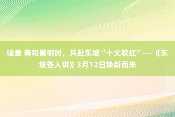 骚麦 春和景明时，共赴东坡“十丈软红”——《东坡各人讲》3月12日焕新而来