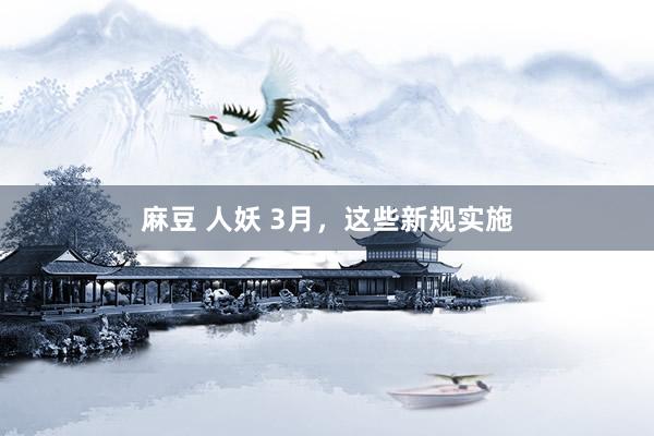 麻豆 人妖 3月，这些新规实施