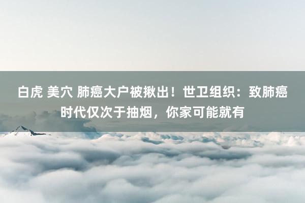 白虎 美穴 肺癌大户被揪出！世卫组织：致肺癌时代仅次于抽烟，你家可能就有