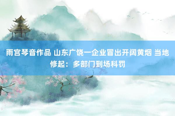 雨宫琴音作品 山东广饶一企业冒出开阔黄烟 当地修起：多部门到场科罚