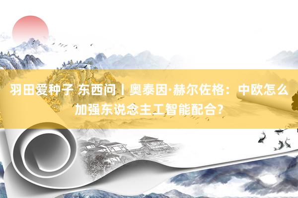 羽田爱种子 东西问丨奥泰因·赫尔佐格：中欧怎么加强东说念主工智能配合？