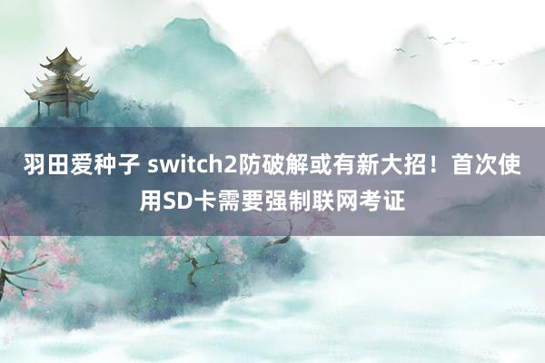 羽田爱种子 switch2防破解或有新大招！首次使用SD卡需要强制联网考证
