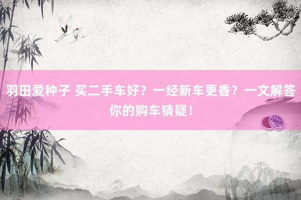 羽田爱种子 买二手车好？一经新车更香？一文解答你的购车猜疑！