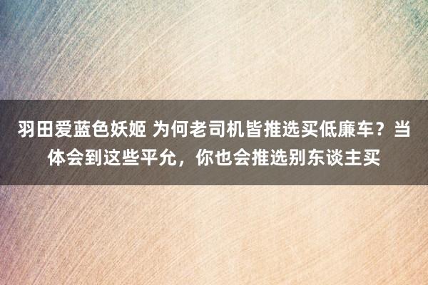 羽田爱蓝色妖姬 为何老司机皆推选买低廉车？当体会到这些平允，你也会推选别东谈主买