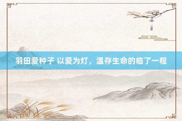 羽田爱种子 以爱为灯，温存生命的临了一程