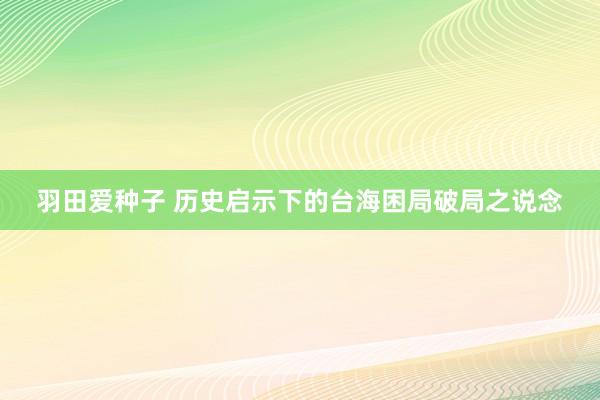 羽田爱种子 历史启示下的台海困局破局之说念