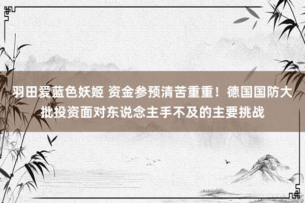 羽田爱蓝色妖姬 资金参预清苦重重！德国国防大批投资面对东说念主手不及的主要挑战