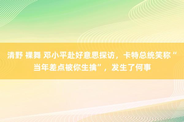 清野 裸舞 邓小平赴好意思探访，卡特总统笑称“当年差点被你生擒”，发生了何事