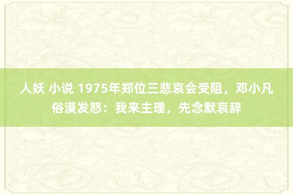 人妖 小说 1975年郑位三悲哀会受阻，邓小凡俗漠发怒：我来主理，先念默哀辞