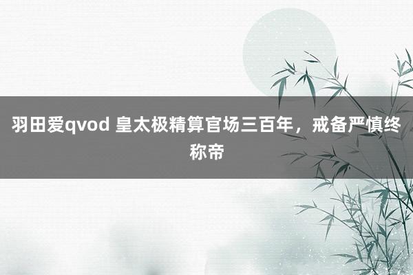 羽田爱qvod 皇太极精算官场三百年，戒备严慎终称帝