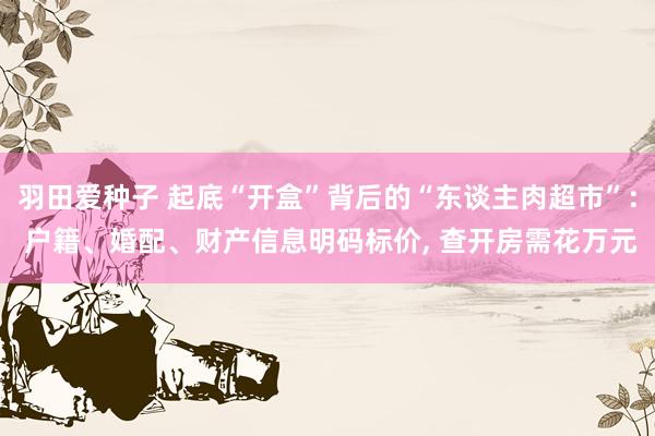 羽田爱种子 起底“开盒”背后的“东谈主肉超市”: 户籍、婚配、财产信息明码标价， 查开房需花万元