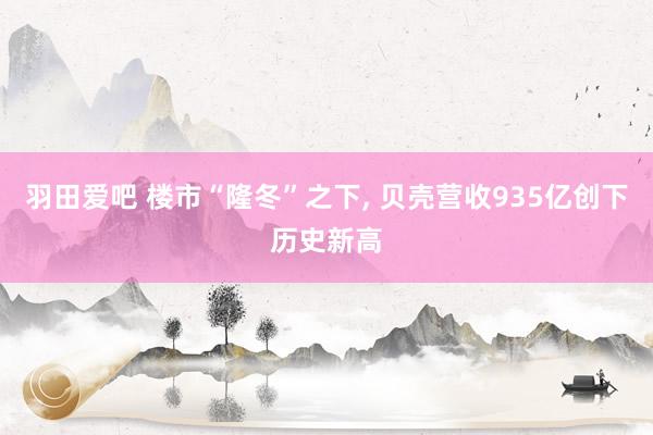 羽田爱吧 楼市“隆冬”之下， 贝壳营收935亿创下历史新高