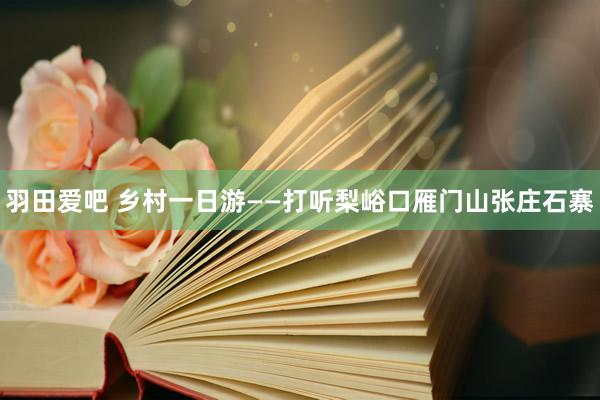 羽田爱吧 乡村一日游——打听梨峪口雁门山张庄石寨