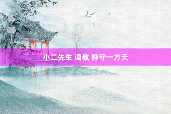 小二先生 调教 静守一方天