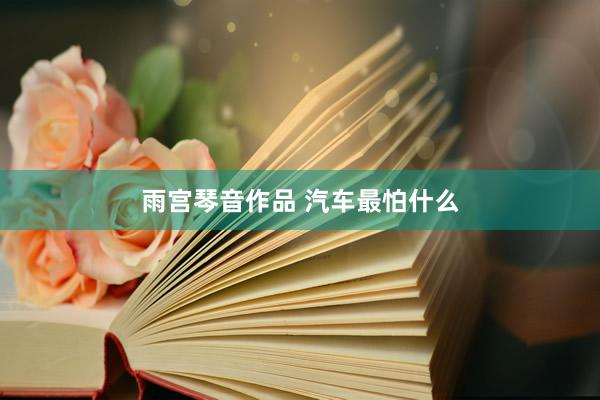 雨宫琴音作品 汽车最怕什么