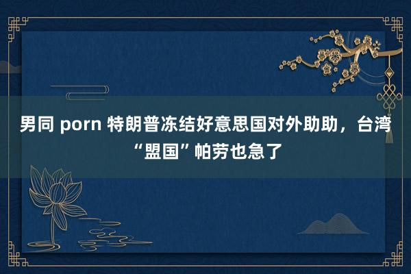 男同 porn 特朗普冻结好意思国对外助助，台湾“盟国”帕劳也急了